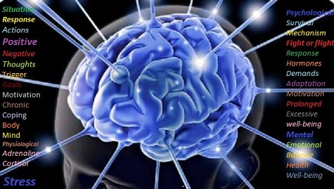 Understanding Stress: Physiological and Psychological Responses, Levels of stress.
